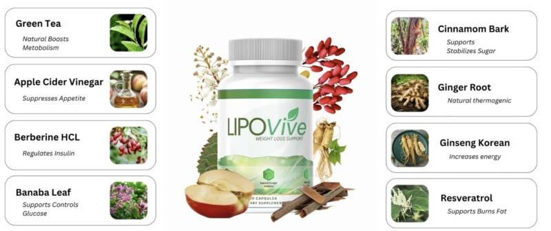 Sisältö ja ainesosat